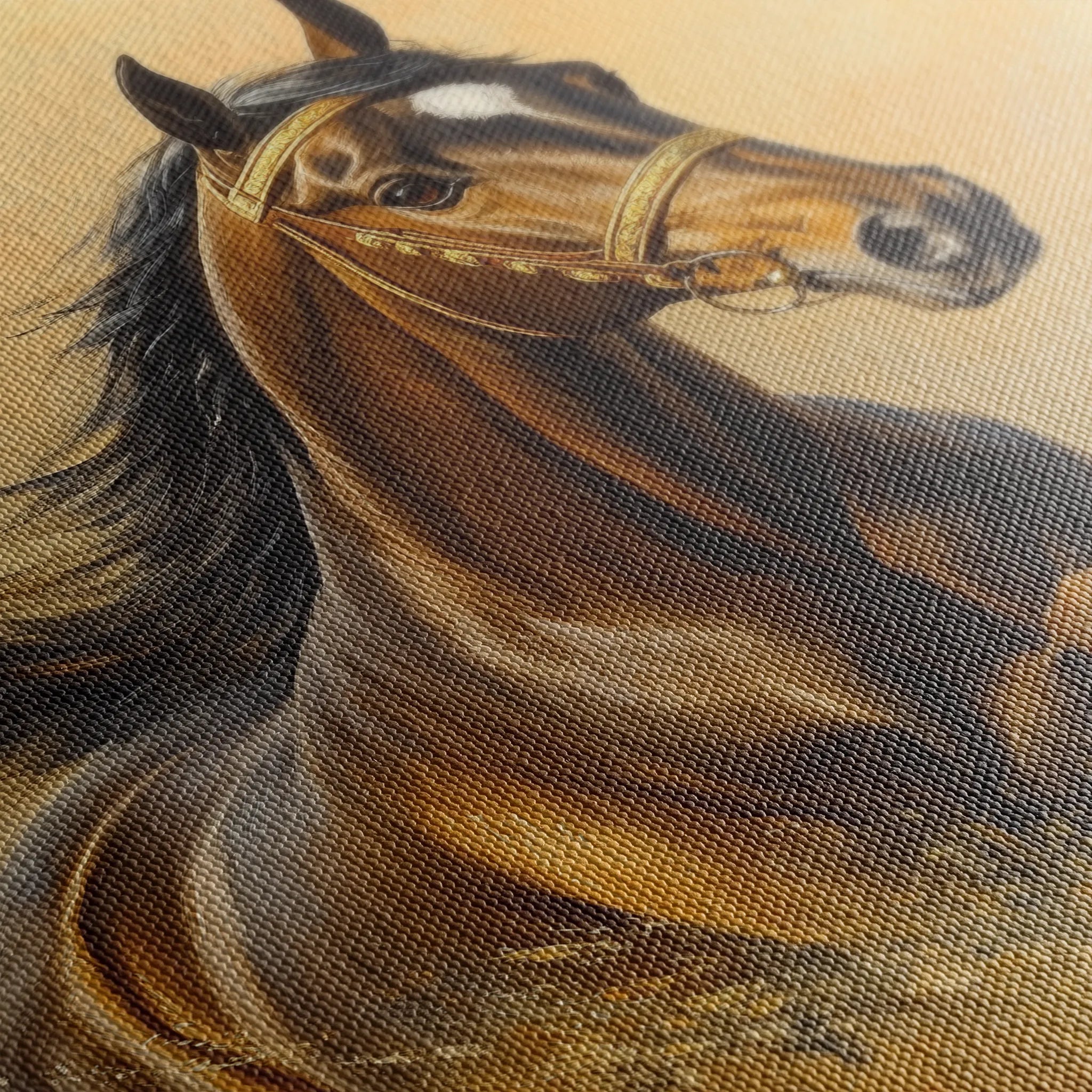 Horses 007 Canvas Art 60 x 40 cm / Black