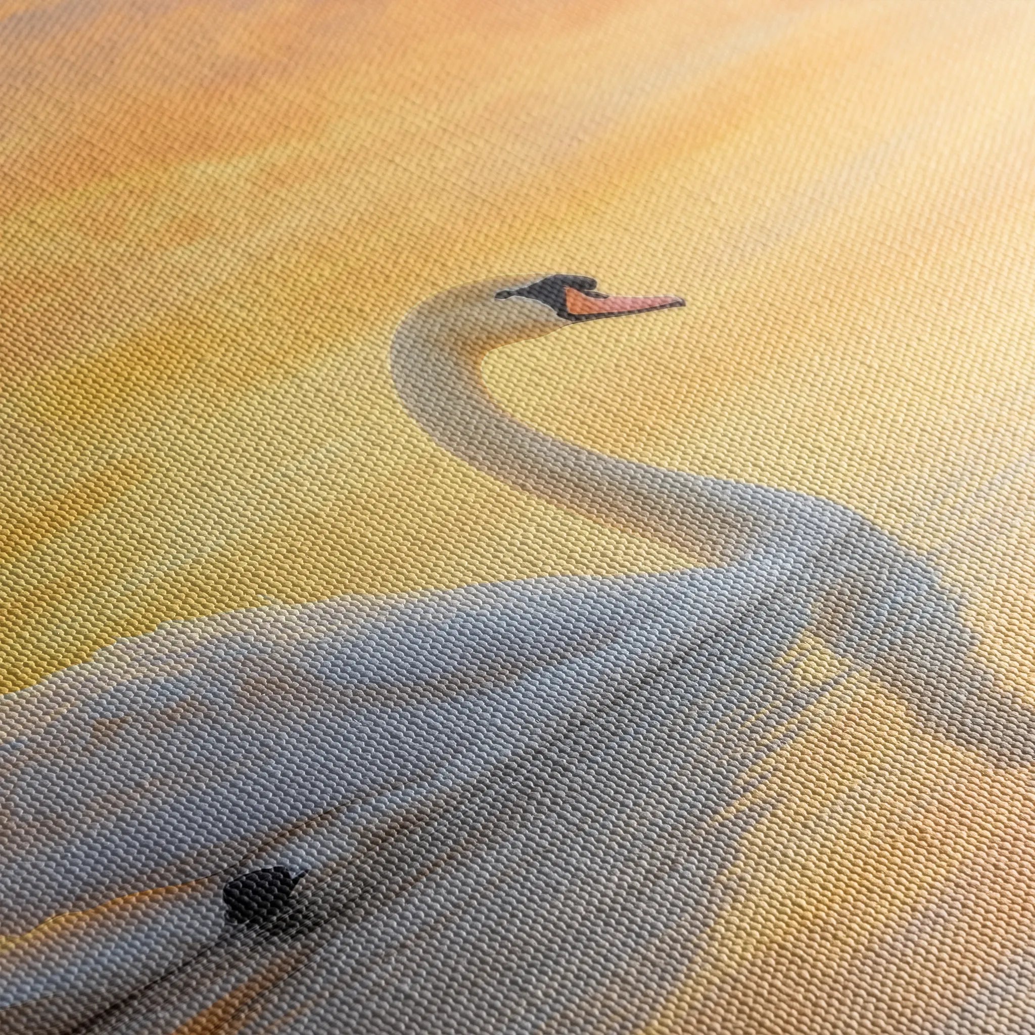 Animals 113 Canvas Art 60 x 40 cm / Black