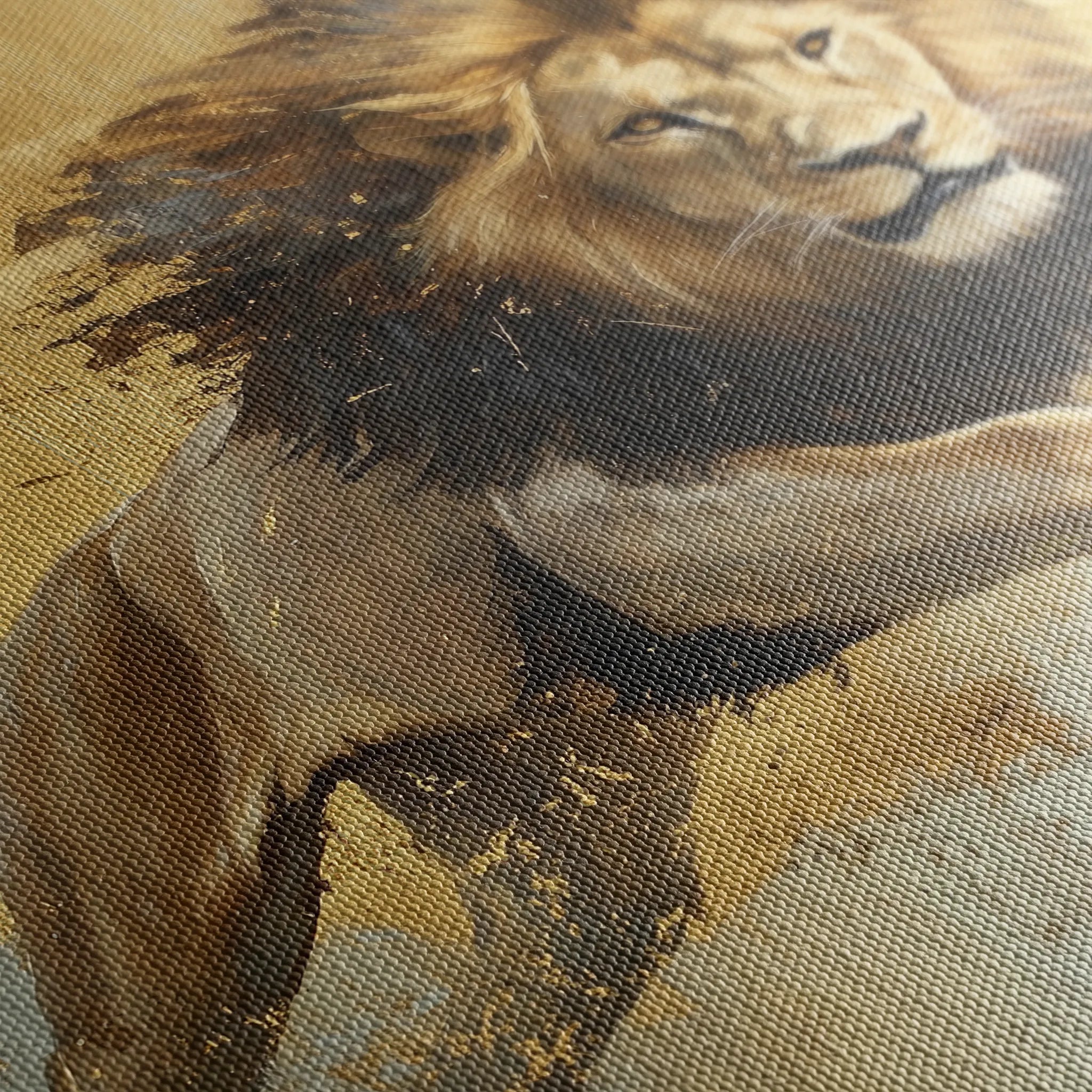 Animals 119 Canvas Art 60 x 40 cm / Black