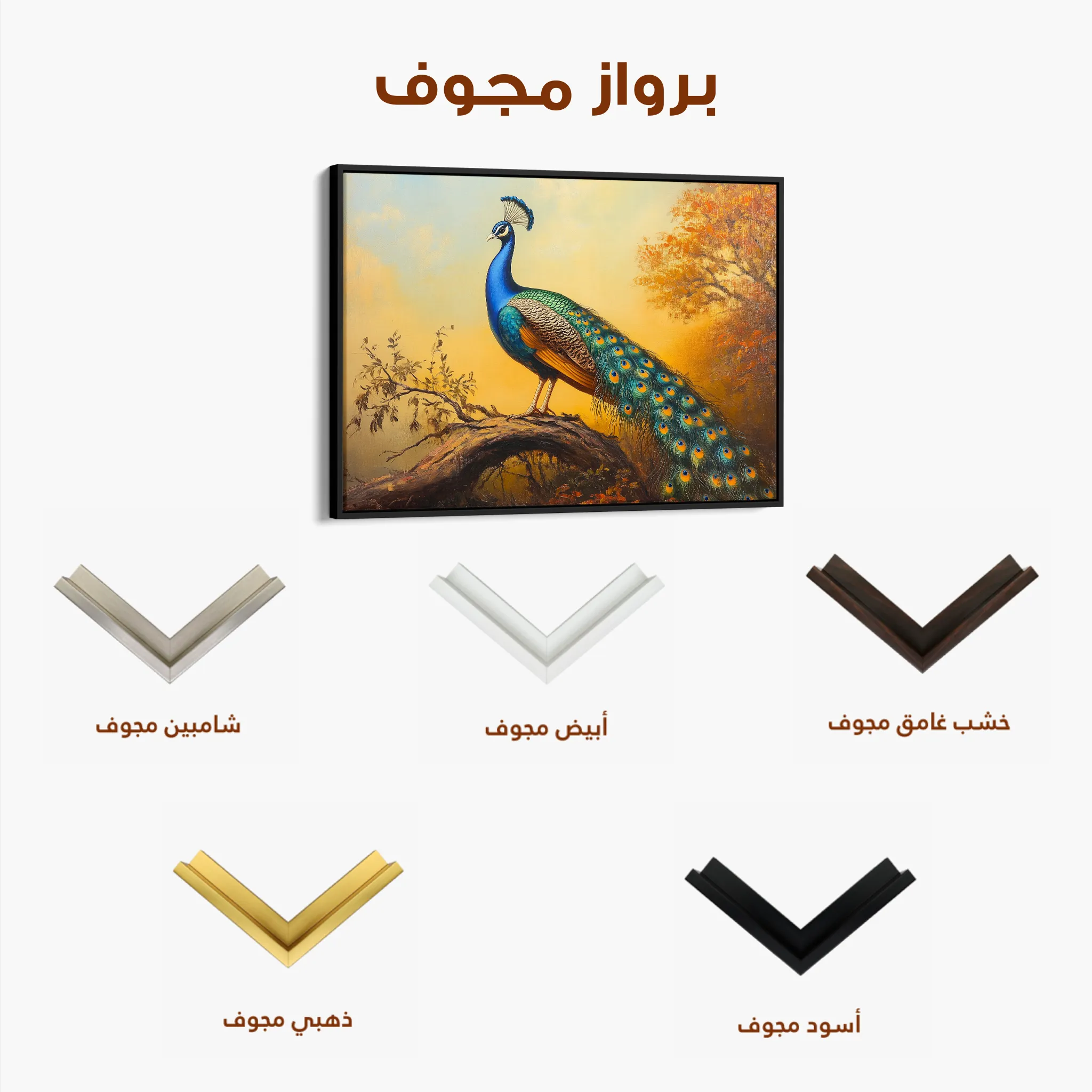 Animals 159 Canvas Art 60 x 40 cm / Black