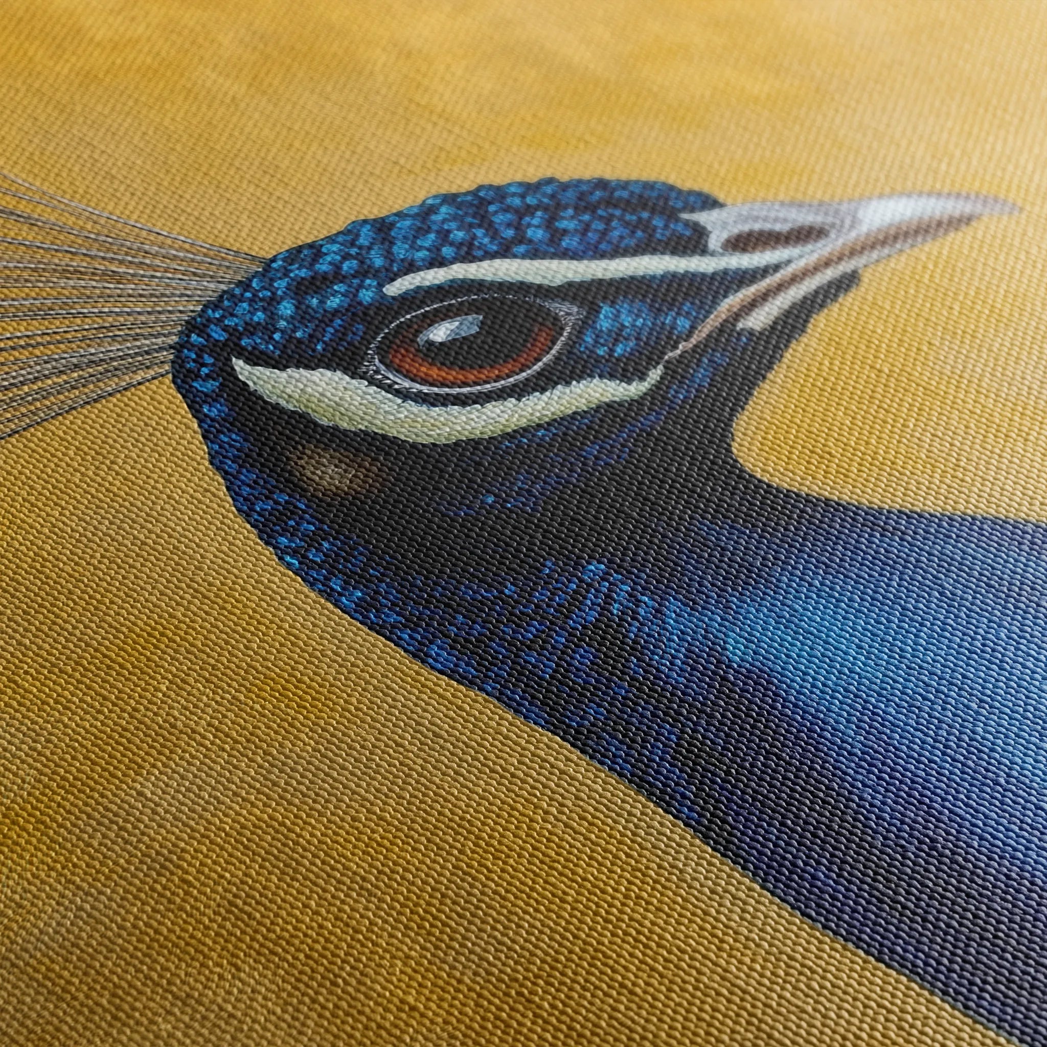 Animals 164 Canvas Art 60 x 40 cm / Black
