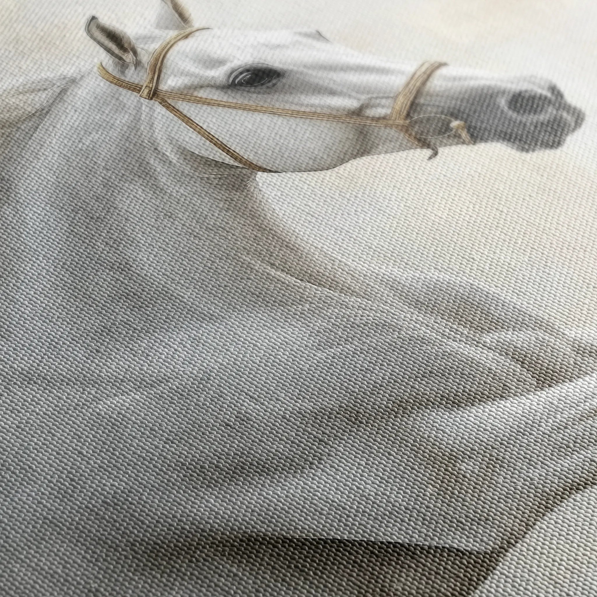 Horses 174 Canvas Art 60 x 40 cm / Black