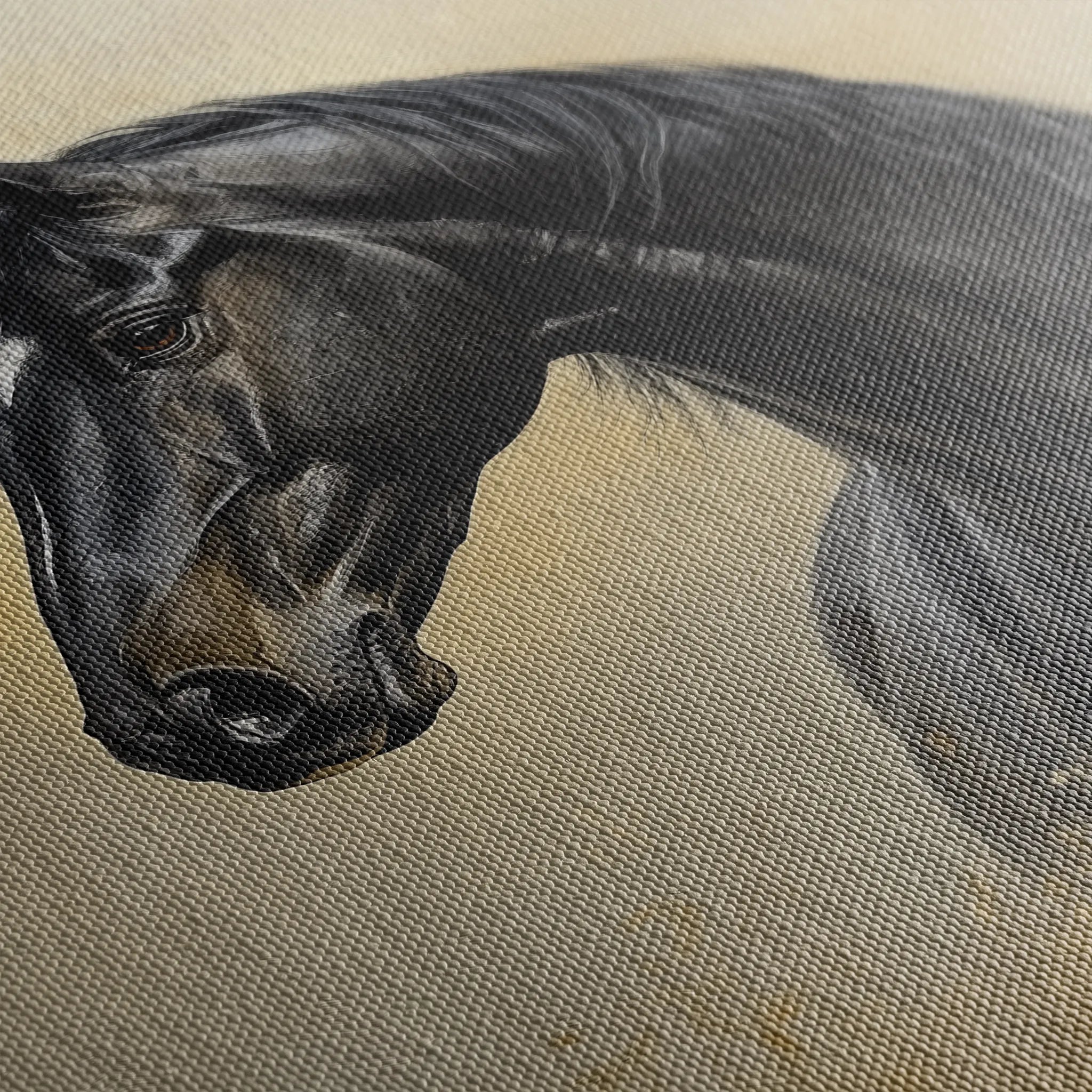 Horses 193 Canvas Art 60 x 40 cm / Black