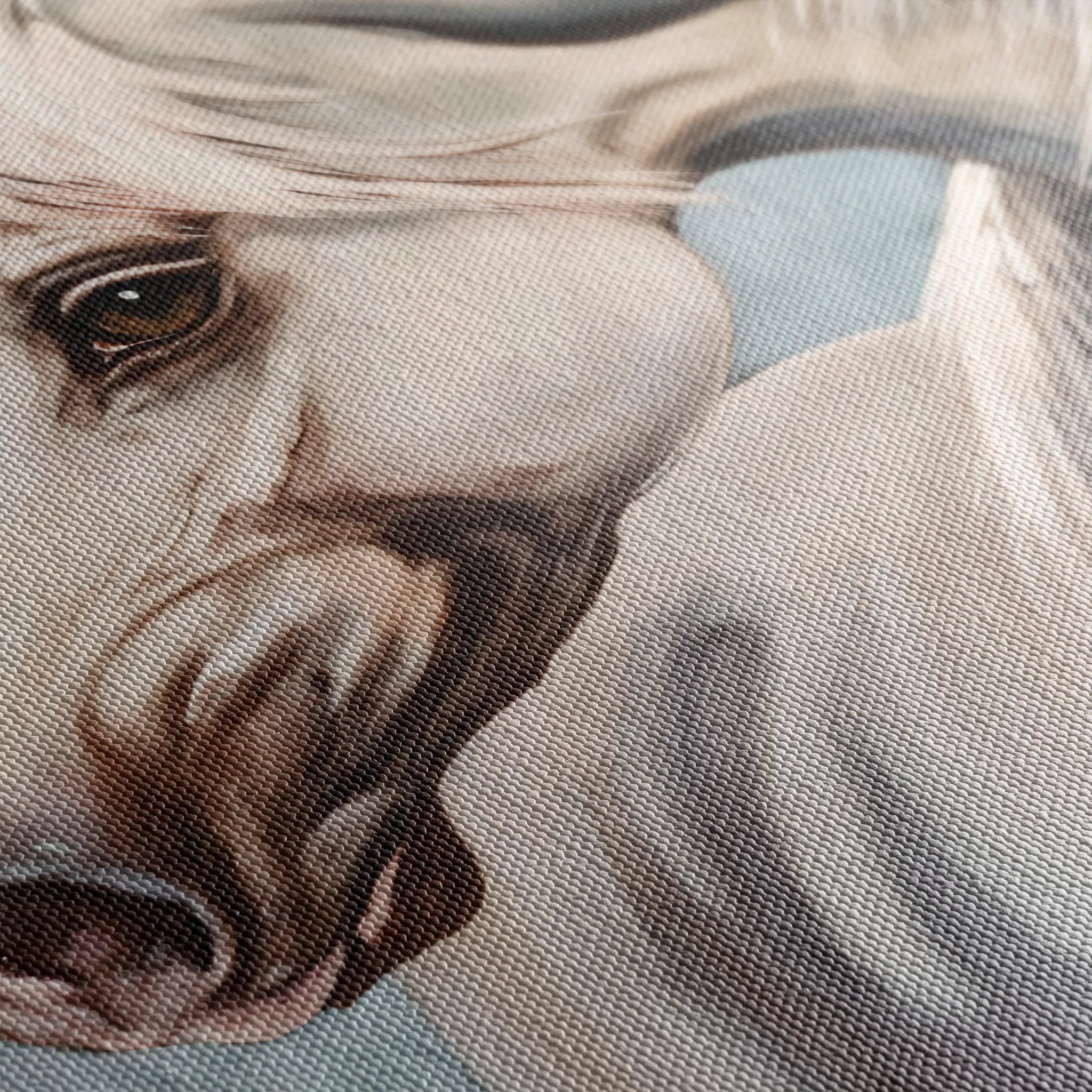 Horses 275 Canvas Art 60 x 40 cm / Black