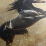 Horses 008 Canvas Art 60 x 40 cm / Black