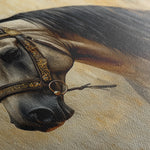 Horses 016 Canvas Art 60 x 40 cm / Black