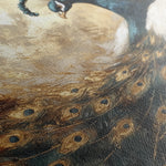 Animals 017 Canvas Art 60 x 40 cm / Black