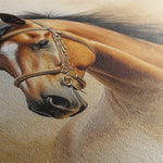 Horses 018 Canvas Art 60 x 40 cm / Black