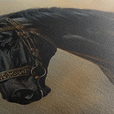 Horses 019 Canvas Art 60 x 40 cm / Black