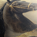 Horses 020 Canvas Art 60 x 40 cm / Black
