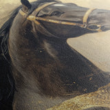 Horses 020 Canvas Art 60 x 40 cm / Black