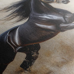 Horses 024 Canvas Art 60 x 40 cm / Black
