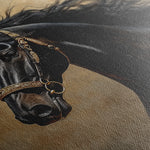 Horses 032 Canvas Art 60 x 40 cm / Black