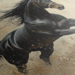 Horses 034 Canvas Art 60 x 40 cm / Black