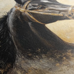 Horses 039 Canvas Art 60 x 40 cm / Black