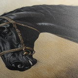 Horses 040 Canvas Art 60 x 40 cm / Black