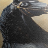 Horses 041 Canvas Art 60 x 40 cm / Black