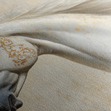 Horses 078 Canvas Art 60 x 40 cm / Black