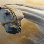 Horses 085 Canvas Art 60 x 40 cm / Black