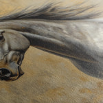 Horses 089 Canvas Art 60 x 40 cm / Black