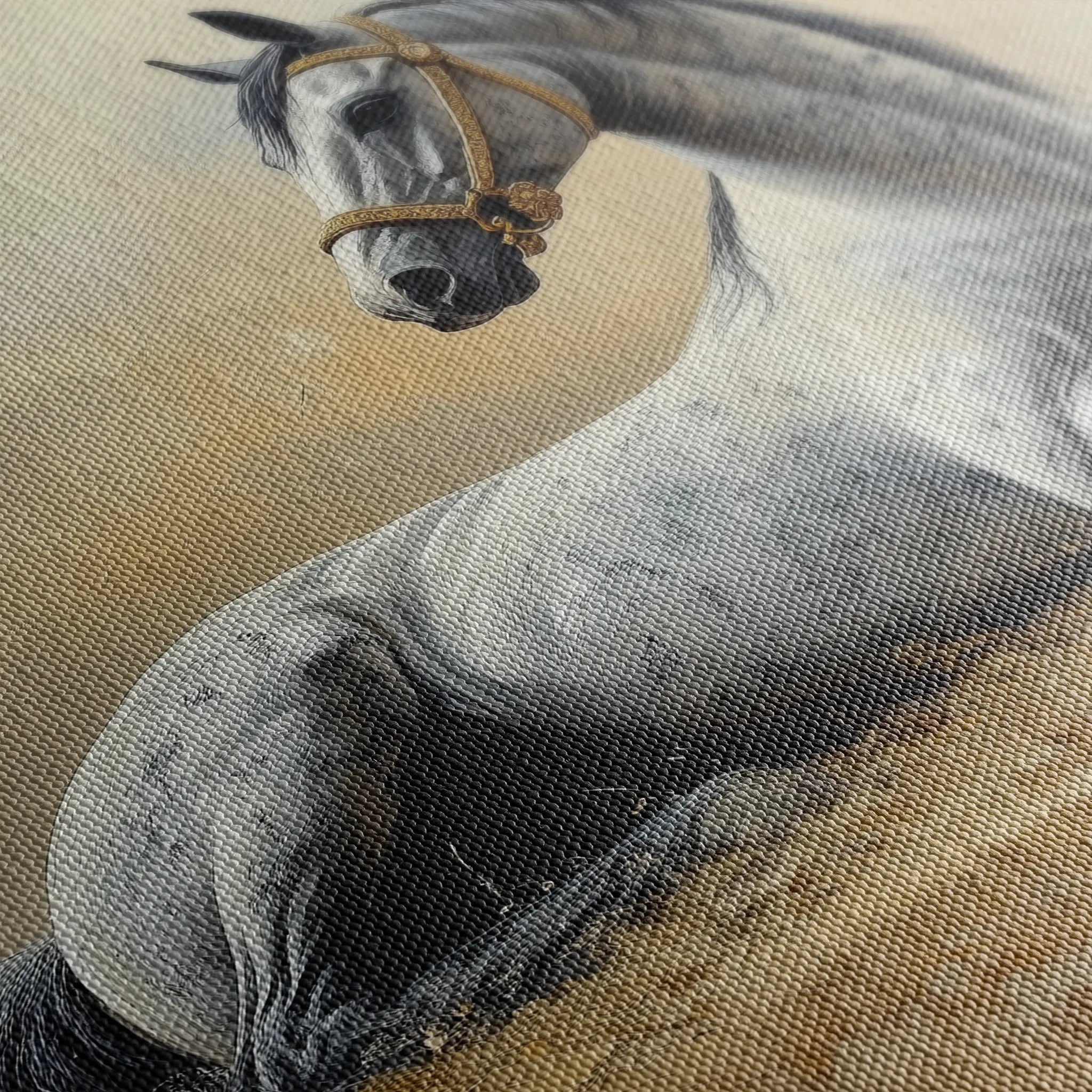 Horses 090 Canvas Art 60 x 40 cm / Black