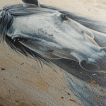 Horses 097 Canvas Art 60 x 40 cm / Black