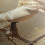 Horses 098 Canvas Art 60 x 40 cm / Black