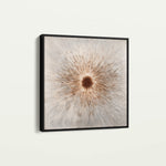 Abstract 1035 Canvas Art 60 x 60 cm / Black