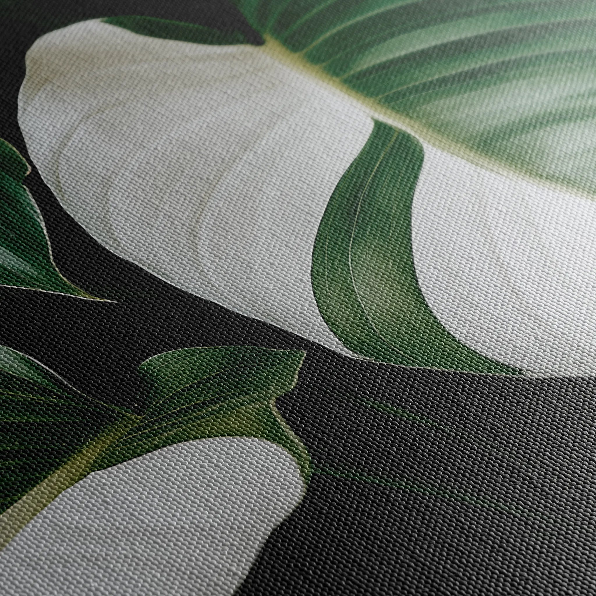 Floral 1085 Canvas Art 60 x 40 cm / Black