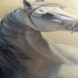 Horses 115 Canvas Art 60 x 40 cm / Black