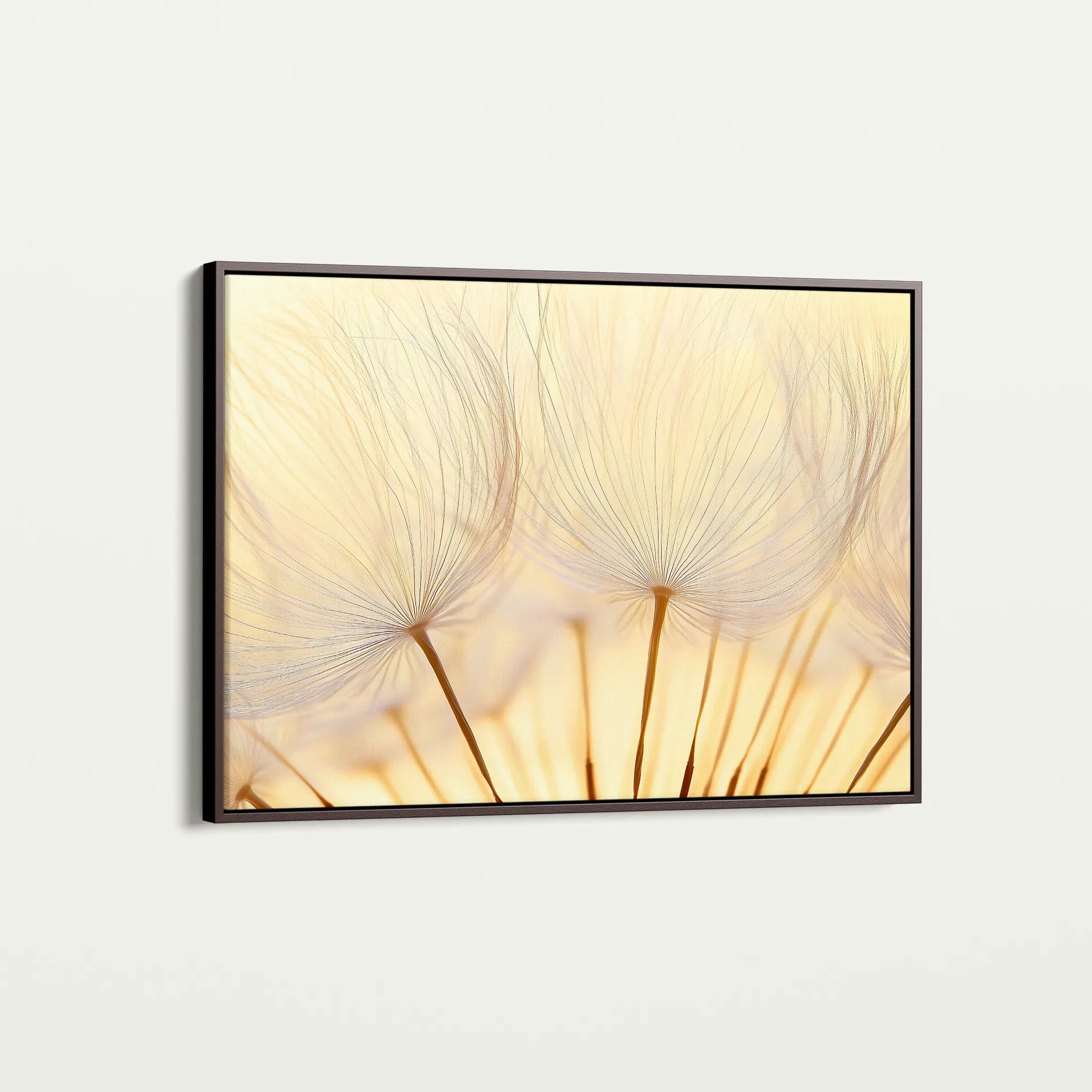 Floral 1171 Canvas Art 60 x 40 cm / Black