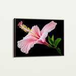 Floral 1190 Canvas Art 60 x 40 cm / Black