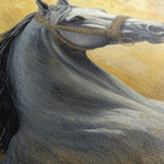 Horses 121 Canvas Art 60 x 40 cm / Black