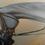 Horses 124 Canvas Art 60 x 40 cm / Black