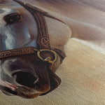Horses 130 Canvas Art 60 x 40 cm / Black