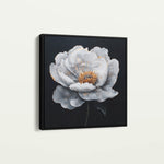 Floral 1319 Canvas Art 60 x 60 cm / Black