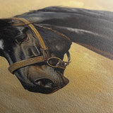 Horses 152 Canvas Art 60 x 40 cm / Black
