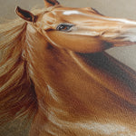 Horses 157 Canvas Art 60 x 40 cm / Black