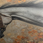 Horses 159 Canvas Art 60 x 40 cm / Black