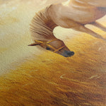 Horses 164 Canvas Art 60 x 40 cm / Black