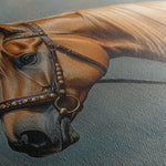 Horses 171 Canvas Art 60 x 40 cm / Black