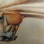 Horses 173 Canvas Art 60 x 40 cm / Black