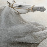 Horses 174 Canvas Art 60 x 40 cm / Black