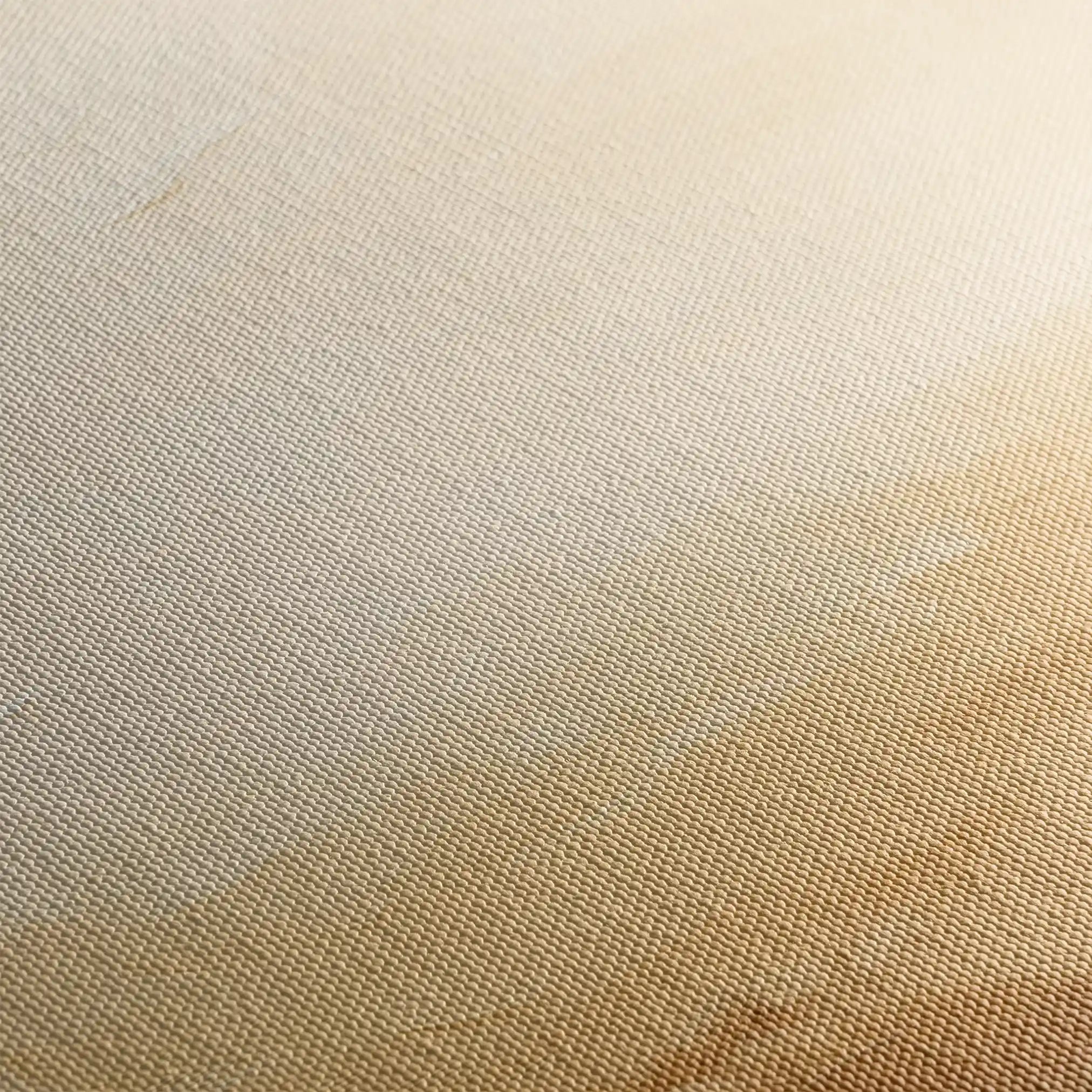 Abstract 1745 Canvas Art 60 x 40 cm / Black