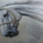 Horses 178 Canvas Art 60 x 40 cm / Black