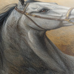 Horses 181 Canvas Art 60 x 40 cm / Black