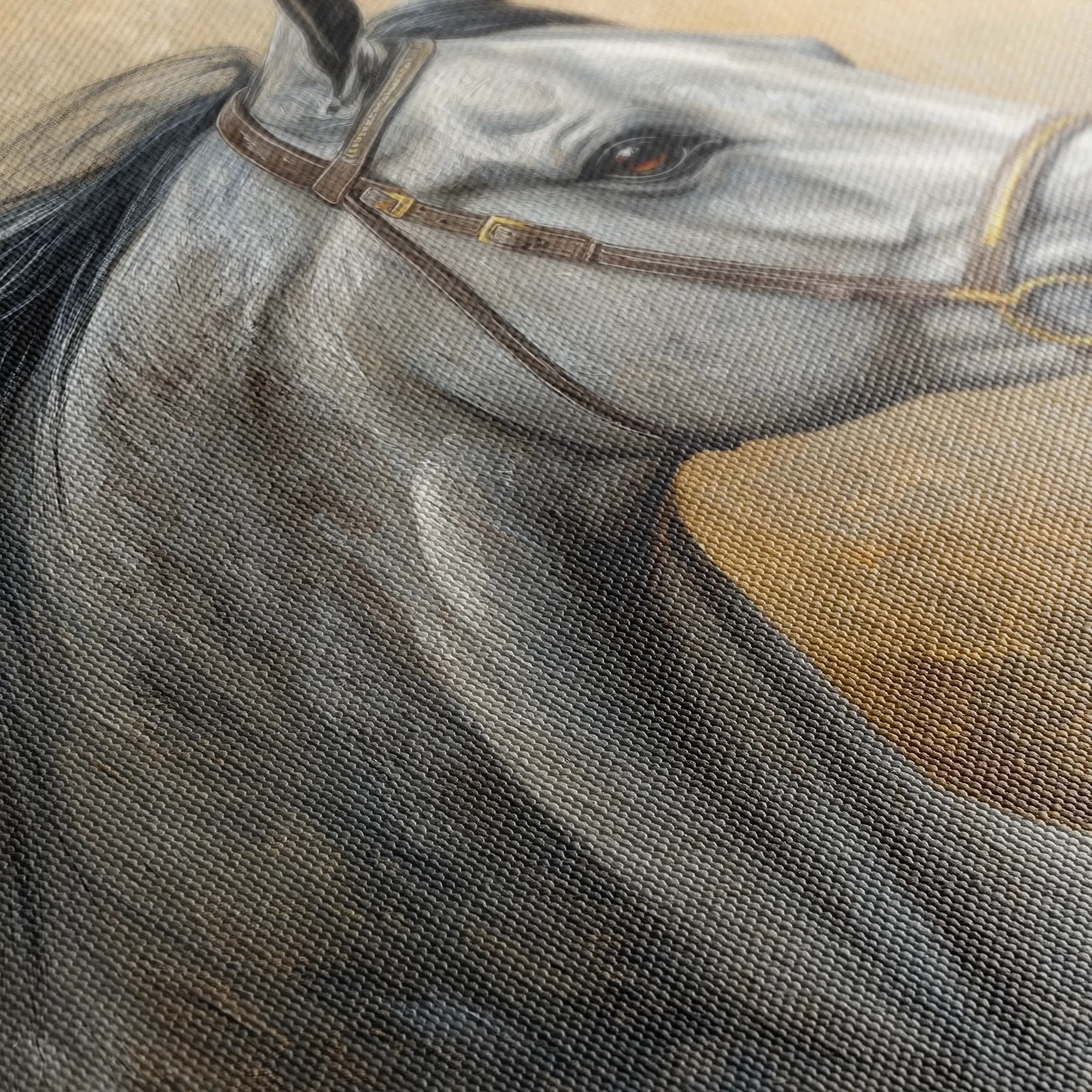 Horses 181 Canvas Art 60 x 40 cm / Black
