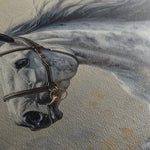 Horses 183 Canvas Art 60 x 40 cm / Black