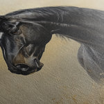 Horses 193 Canvas Art 60 x 40 cm / Black