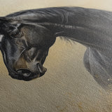 Horses 193 Canvas Art 60 x 40 cm / Black